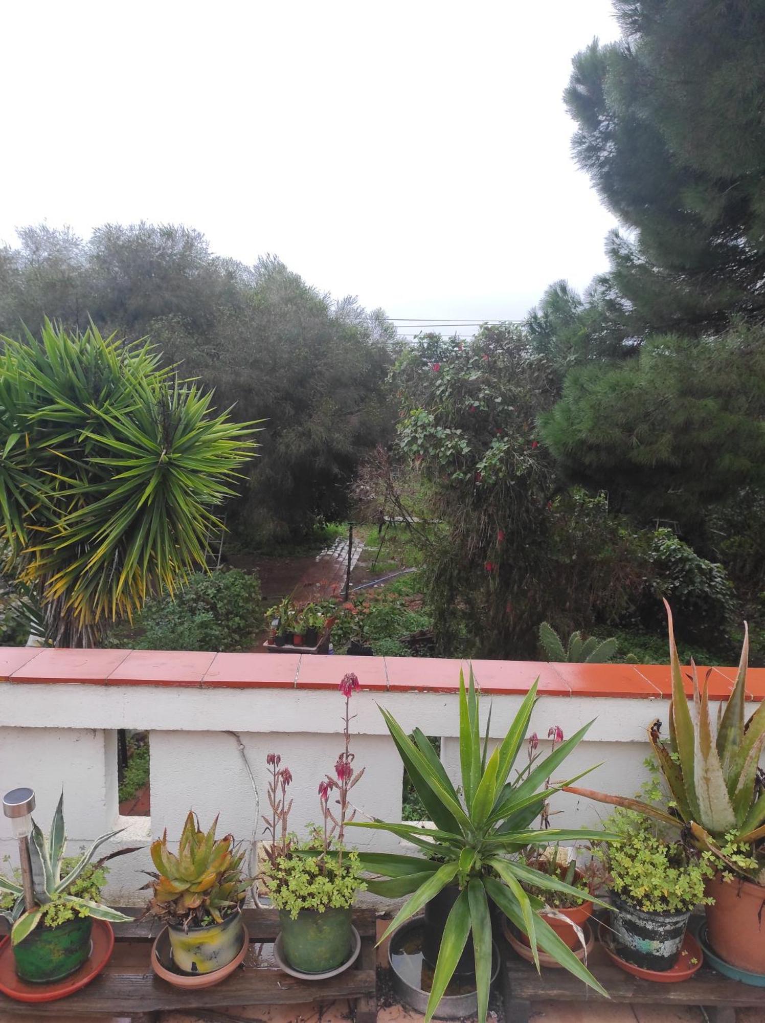 Casa Da Cabana Budens Dış mekan fotoğraf